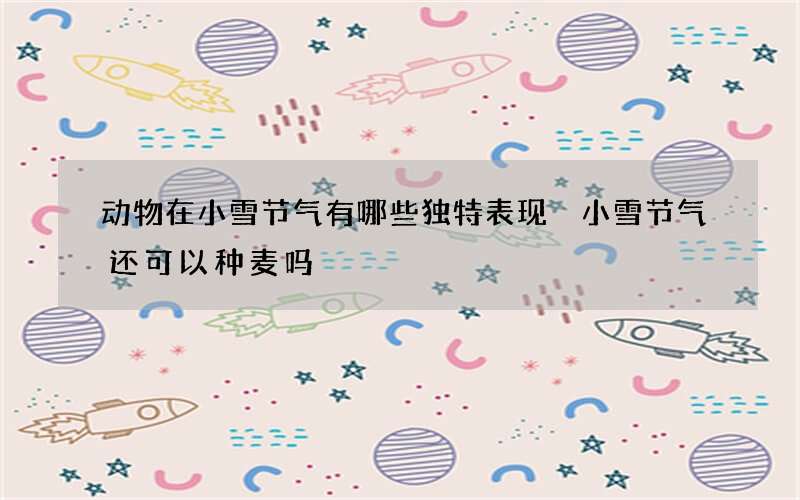 动物在小雪节气有哪些独特表现 小雪节气还可以种麦吗